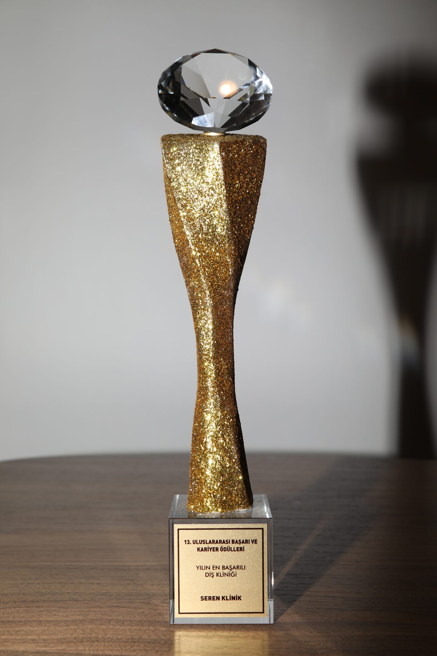 Most Successful Dental Clinic of the Year award presented to Seren Klinik at the 13th International Achievement and Career Awards