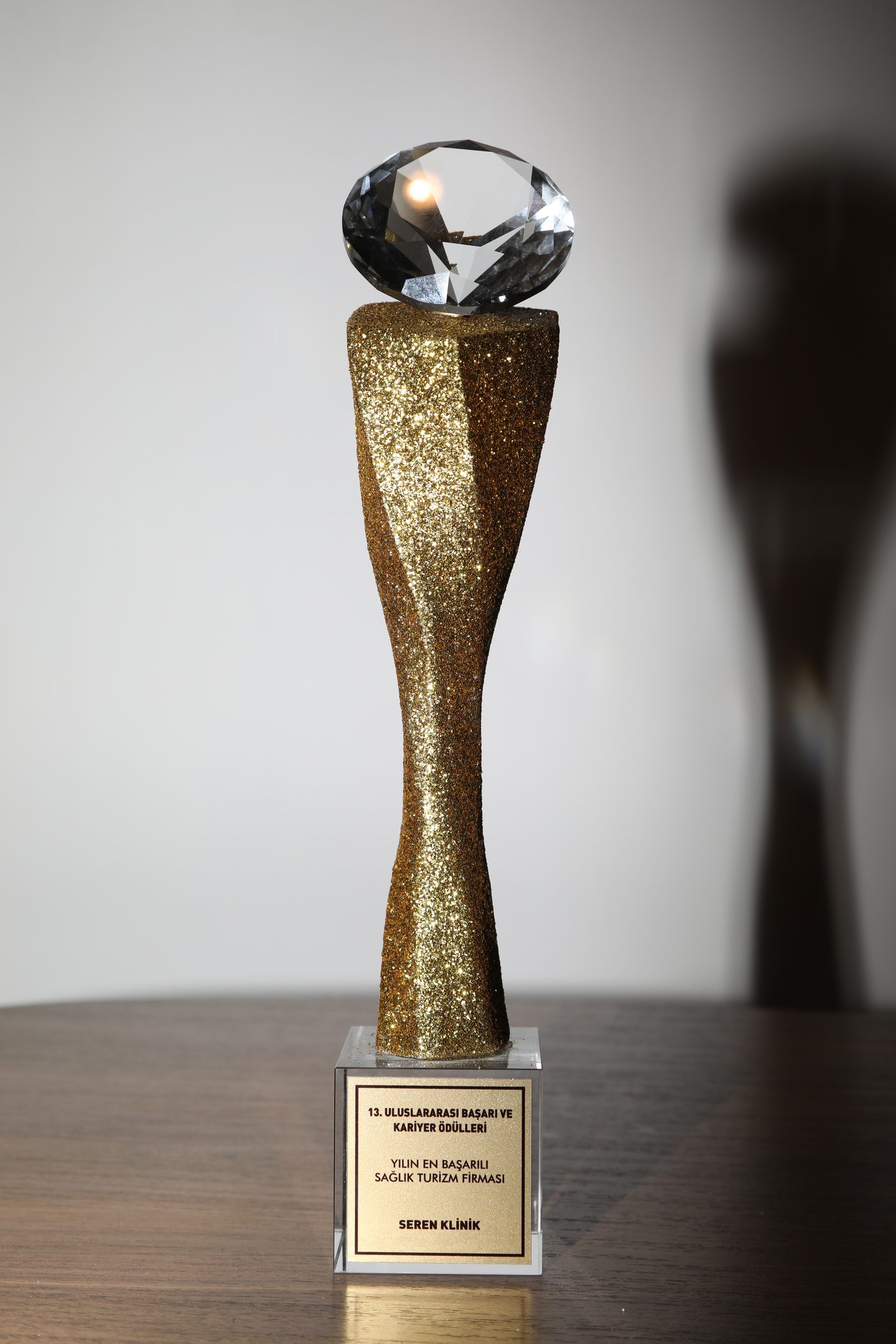 Most Successful Health Tourism Company of the Year award presented to Seren Klinik at the 13th International Achievement and Career Awards
